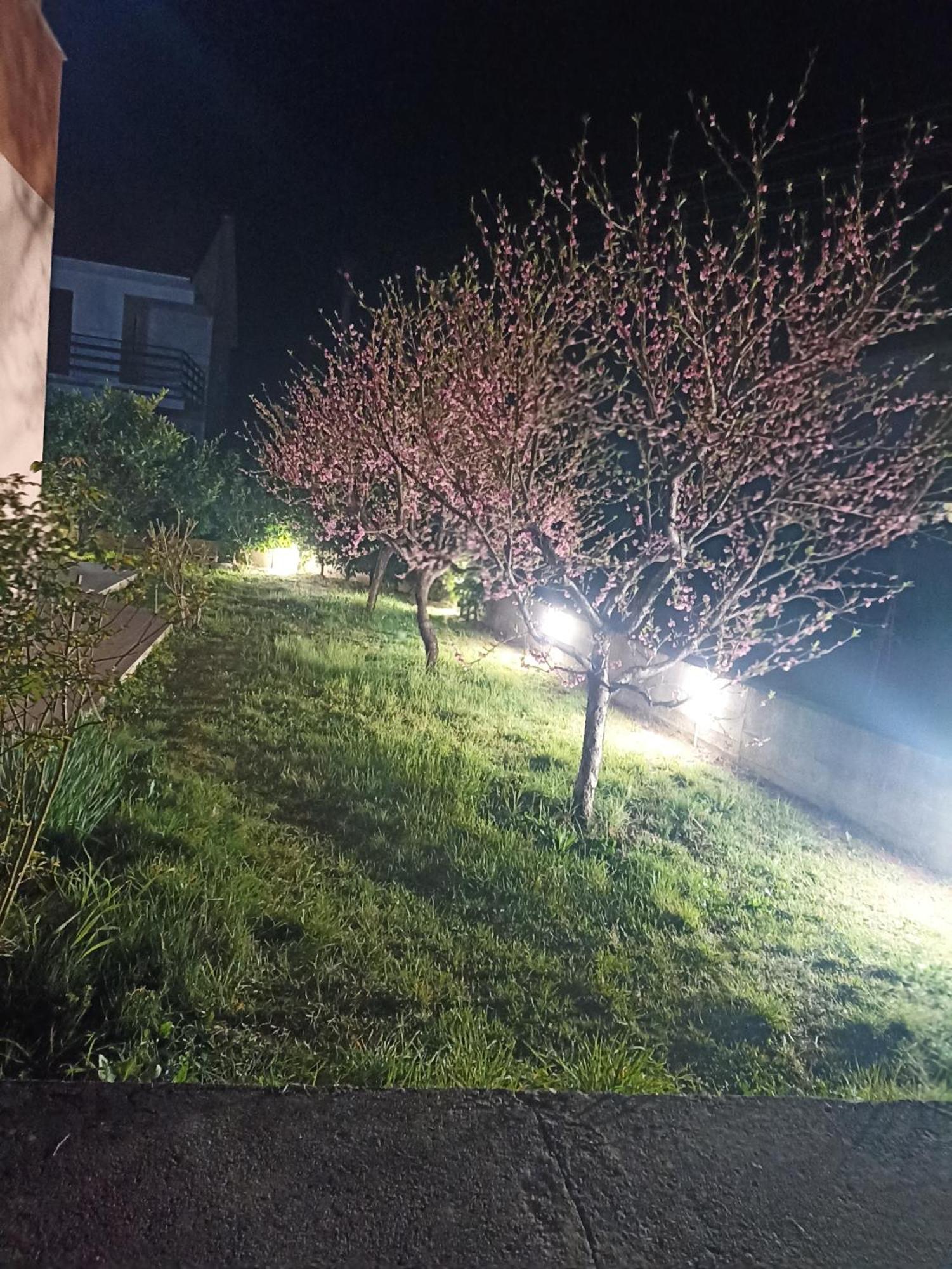Apartmani Slado Trebinje Eksteriør bilde